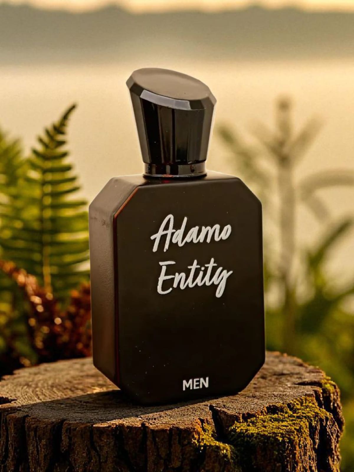 ADAMO ENTITY